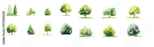 Vector watercolor green lush or forest side view isolated on white background for landscape and architecture drawing,elements for environment or and garden,Shrub for section