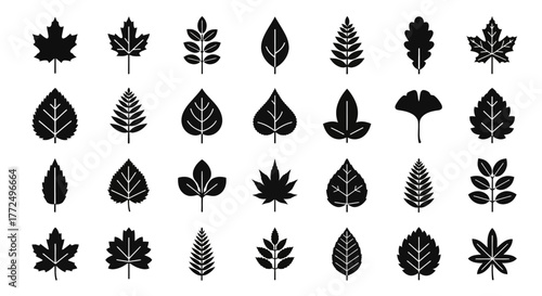 Diverse collection of black leaf silhouette icons representing various tree and plant species. Simple flat vector graphic set for botanical and nature designs