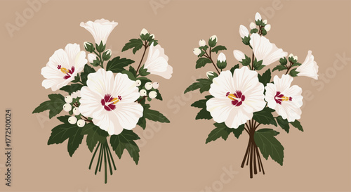 Two symmetrical bouquets featuring white hibiscus flowers, green leaves, and delicate white buds, presented as a graceful illustration on a solid background.