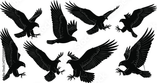 Dynamic Hawk Silhouettes in Flight and Attack Poses – Predatory Raptors Showcasing Aggression, Motion, and Winged Power in Black Form
