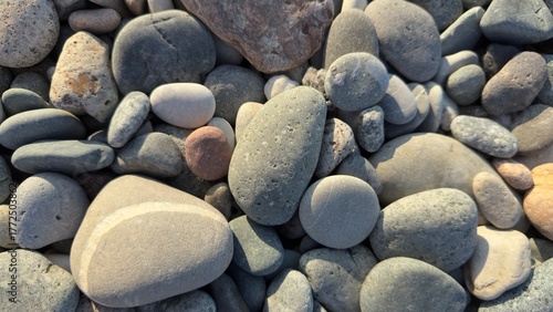 Natural assortment of smooth rounded pebbles and stones in various colors and textures, shaped by water erosion and weathering over time