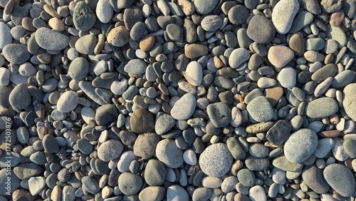 Natural assortment of smooth rounded pebbles and stones in various colors and textures, shaped by water erosion and weathering over time