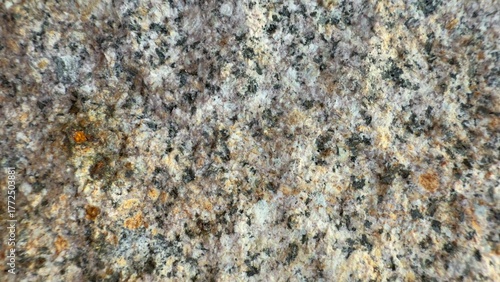 Close-up of natural granite rock surface with coarse-grained texture and speckled mineral pattern in shades of gray, white, black, and orange-brown under directional light