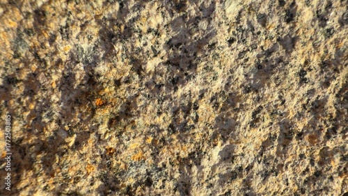 Close-up of natural granite rock surface with coarse-grained texture and speckled mineral pattern in shades of gray, white, black, and orange-brown under directional light