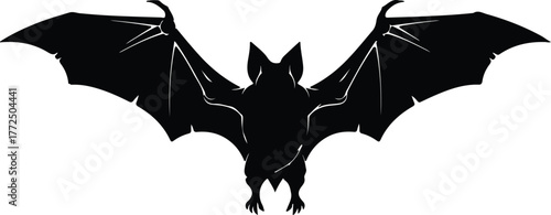 Silhouette of a bat in flight spreading its wings vector illustration
