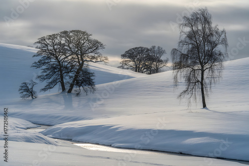 Winter Landscape