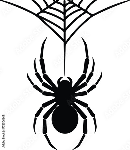 Silhouette of spider hanging on web vector illustration