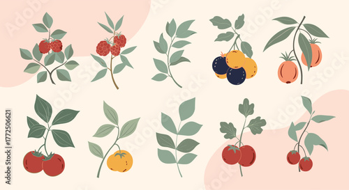Collection of stylized illustrations of fruits and leaves in muted colors.