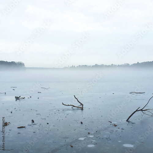 zugefrorener See in Brandenburg