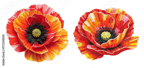 Pair of Vibrant Red and Orange Poppy Flowers with Abstract Brushstroke Petals Isolated on Transparent Background