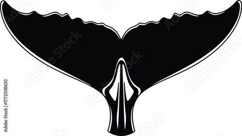 Silhouette Whale tail marine animal wildlife black and white vector illustration