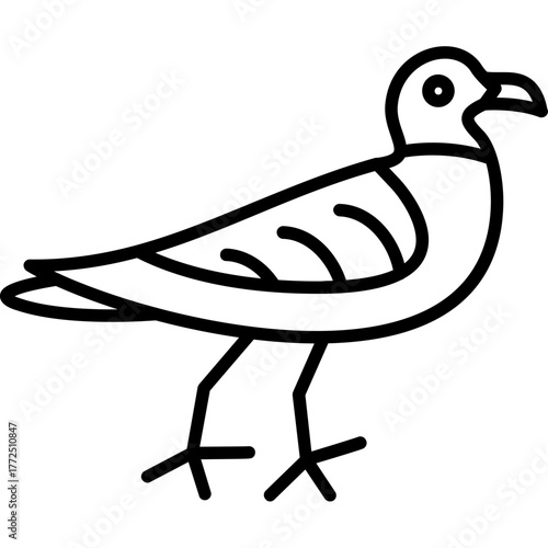 Gull Icon