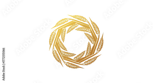 wheat ears isolated on white