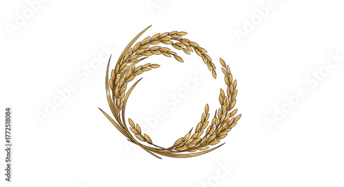 wheat ears isolated on white
