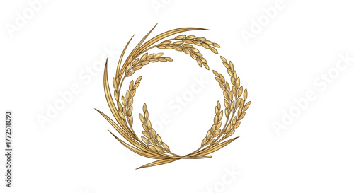 wheat ears isolated on white background