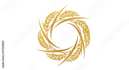 wheat ears isolated on white background