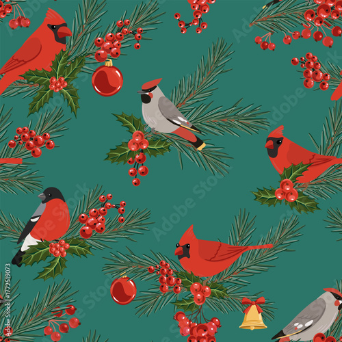 vector drawing Christmas seamless pattern, red cardinals, bullfinch and bohemian waxwing birds at fir branch with green needles and holly leaves and red berries, hand drawn illustration