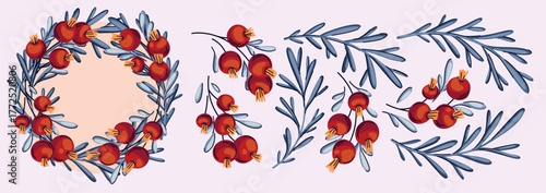 Christmas wreath with red berries, blue spruce branches, small leaves. A set of botanical elements in a vintage motif. A set of leaves, twigs, winter berries for a floral pattern. Vector illustration.