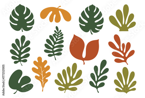 Set of colorful abstract tropical leaves including monstera and other foliage