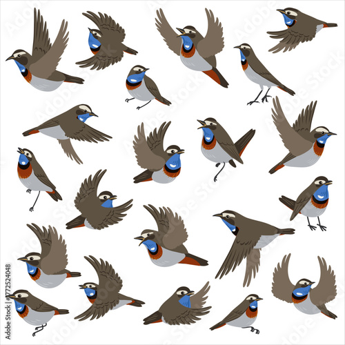 vector drawing bird, bluethroat , hand drawn Luscinia svecica, isolated nature design elements