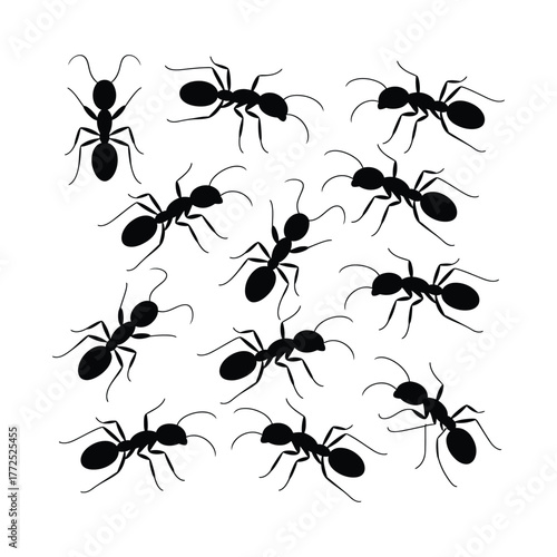Group of ant silhouettes vector illustration