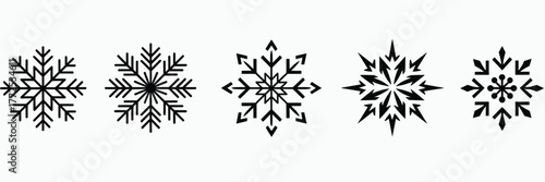 Set of five unique black and white snowflake vector illustrations scalable eps format vector