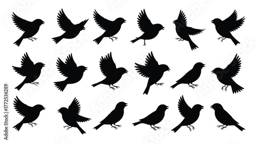 Collection of 16 silhouette finch bird vector illustrations for diverse design needs vector