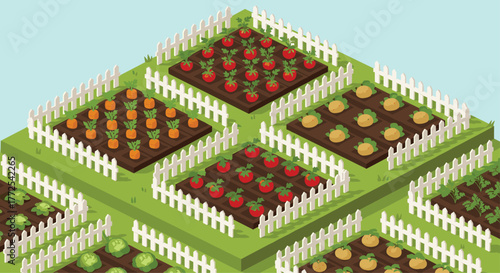 Vibrant isometric vegetable garden showcases rows of ripe tomatoes carrots potatoes and cabbages thriving under a clear blue sky