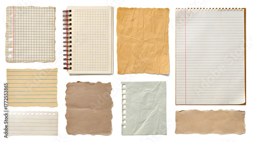Assortment of Torn and Lined Paper Sheets and Notebook Pages on White Background Keywords: paper, torn paper, lined paper, grid paper, notebook
