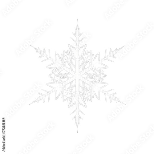 Intricate snowflake detail captures winter's delicate artistry