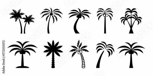 Collection of diverse black silhouette palm tree icons representing tropical flora and island landscapes