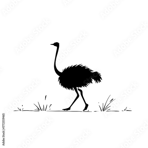 Ostrich. Ostrich simple black and white line art vector logo