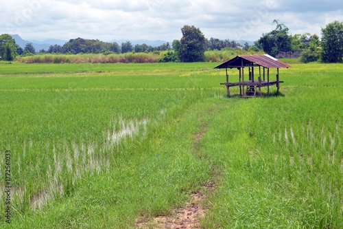 rural landscape with hut in the countryside