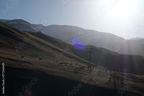 sunrise in the mountains