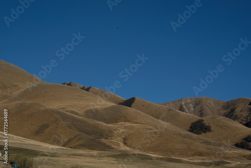 man in desert