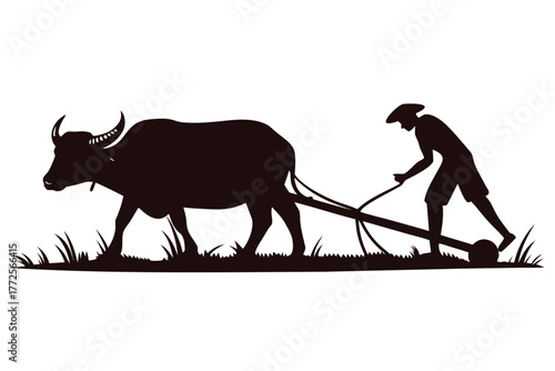 Silhouette shows Asian farmer with buffalo plowing field together, cultivating soil today