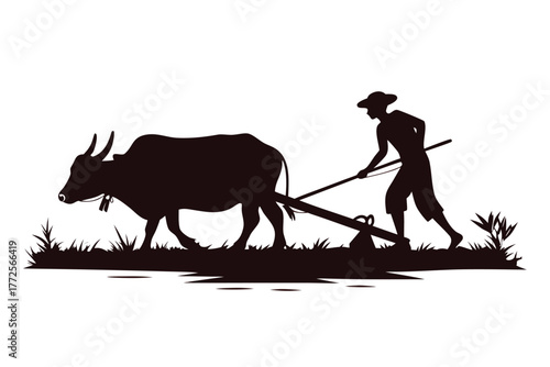 Asian farmer silhouette working soil with oxen on the field agricultural labor