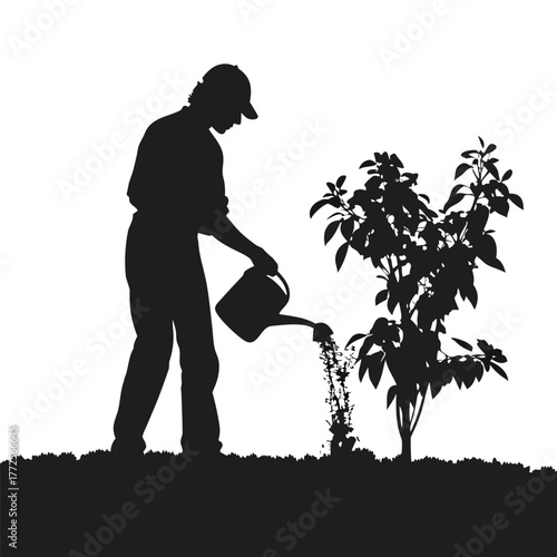 Silhouette of a man wearing cap, watering a newly planted tree with can