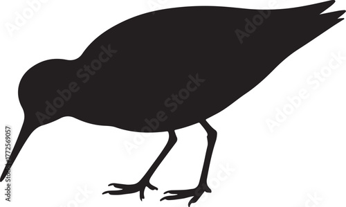 Vector silhouette illustration of a black and white wild bird flying with a wing, feather, and beak design