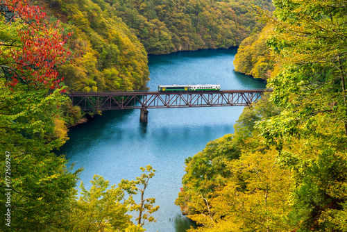 紅葉の萌える山々と只見川第三橋梁を渡る機関車
