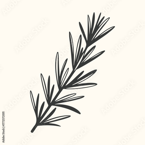 A simple, handdrawn illustration of a rosemary sprig with thin, needlelike leaves on a plain background