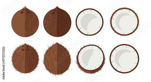 Coconut collection with whole and halved shells in flat design