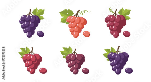 Vibrant grapes collection: colorful bunches on white background