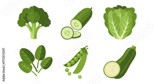 Fresh green vegetables: broccoli, cucumber, lettuce, spinach, peas, and zucchini