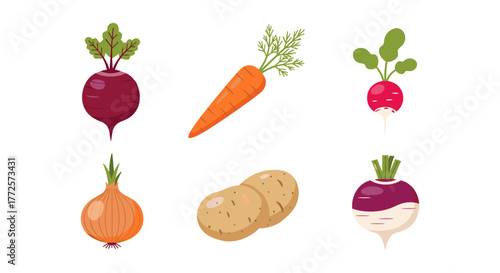 Fresh root vegetable collection with carrot, potato, and more