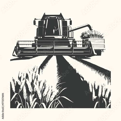 A combine harvester working in a wheat field, cutting the ripe crop during harvest season
