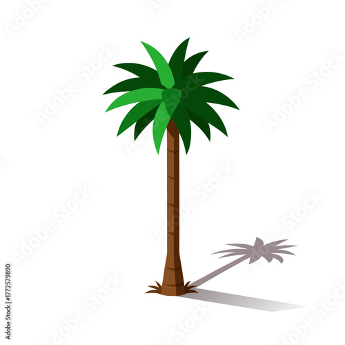 Tall sunlit date palm tree vector graphic with detailed shadow scalable illustration
