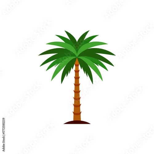 Tall date palm tree vector illustration for tropical design elements and summer themes