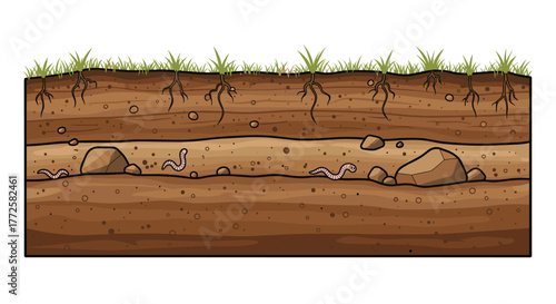 The fascinating underground world showing soil layers, plant roots, rocks, and earthworms in a vibrant cross-section