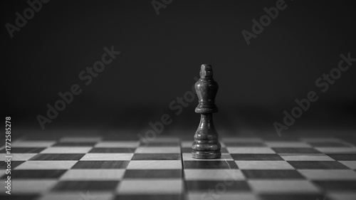 chess on the board